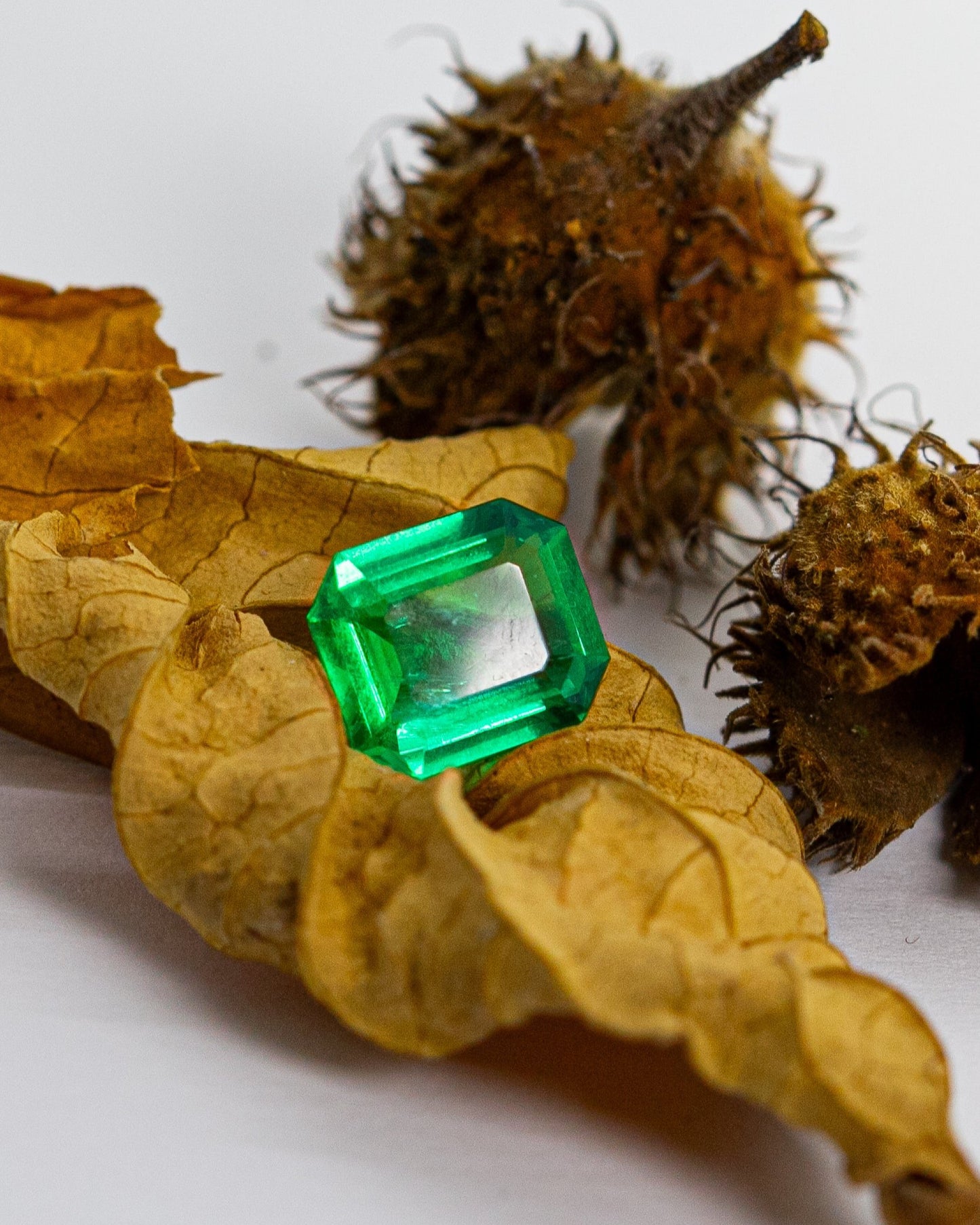 Columbian Emerald No Oil 3.95ct
