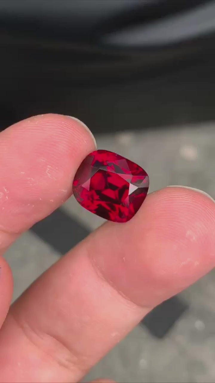 IMG_9199.MP4