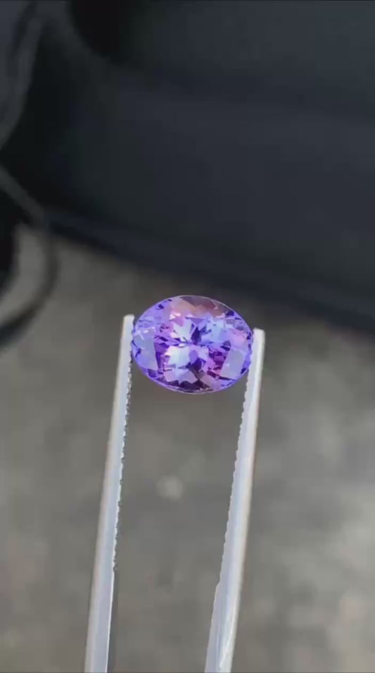 IMG_5054.MP4