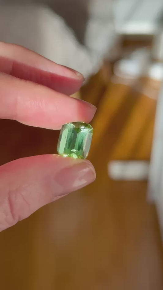 Tourmaline 9.2ct 13х11х8mm