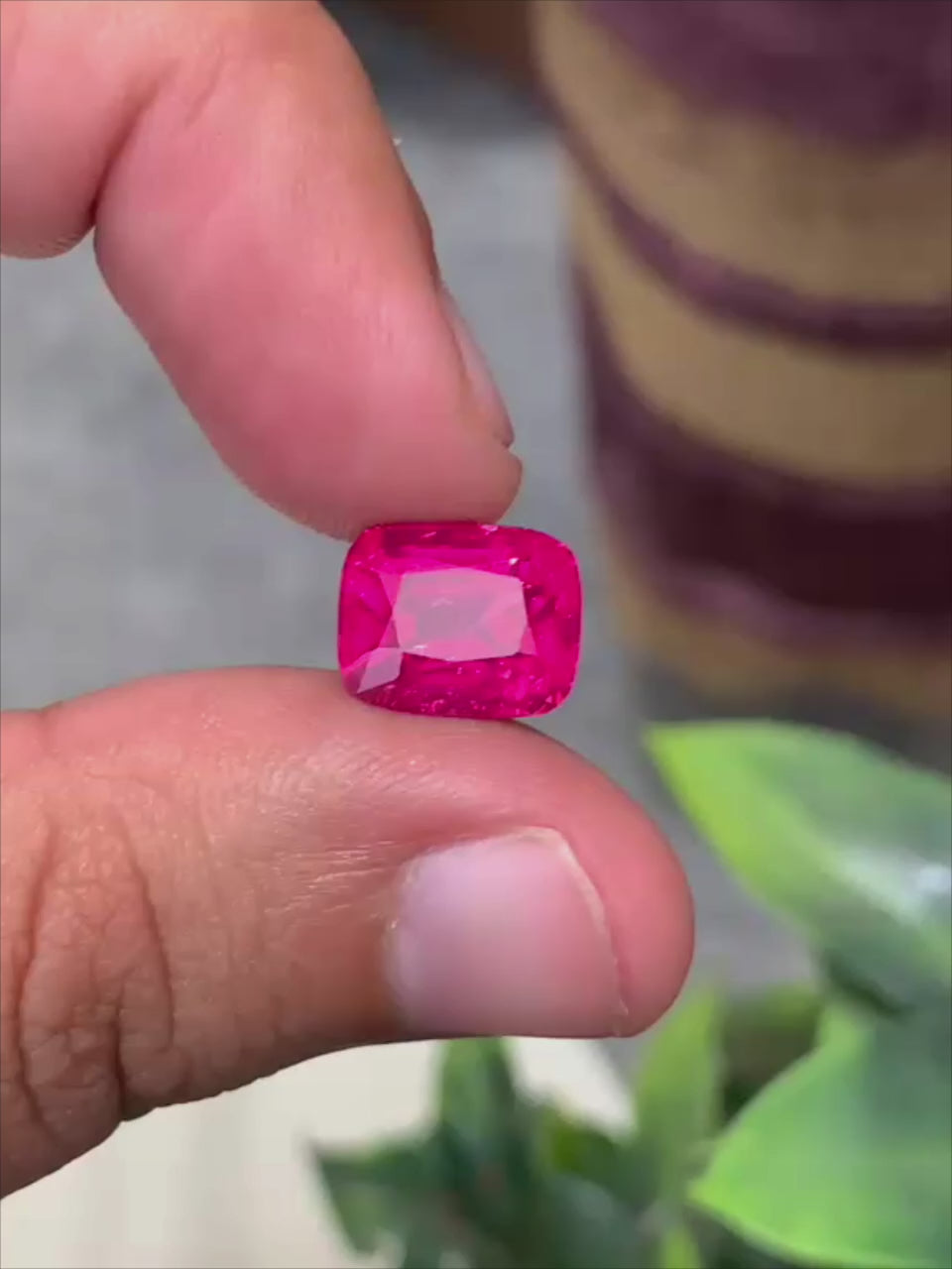 IMG_3820.MP4