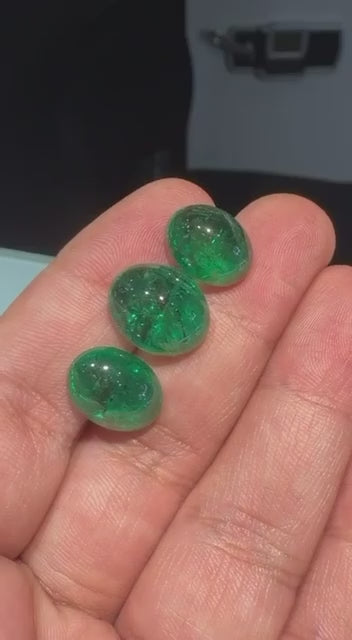 IMG_2962.MP4