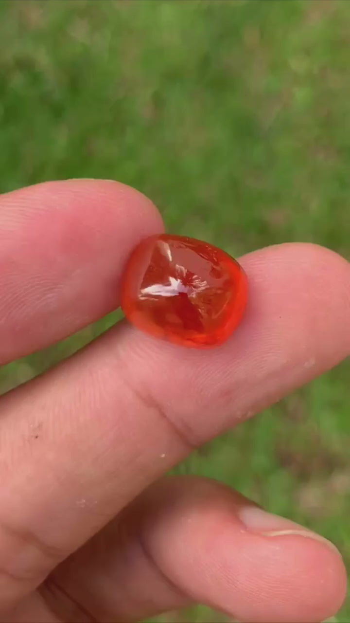 IMG_9348.MP4